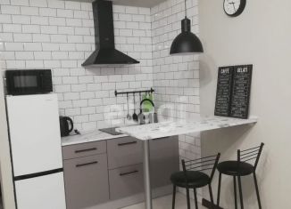 Сдается квартира студия, 25 м2, Ростов-на-Дону, Горсоветская улица, 49с1