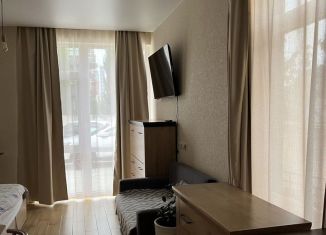 Сдается в аренду квартира студия, 25.7 м2, Сириус, переулок Кувшинок, 14