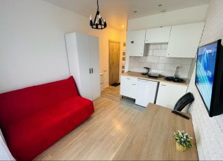 Квартира в аренду студия, 24 м2, Котельники, Сосновая улица, 1к4