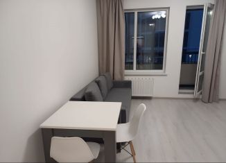 Продаю квартиру студию, 24.6 м2, Санкт-Петербург, Арцеуловская аллея, 17, муниципальный округ Коломяги