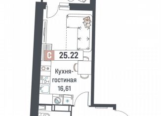 Квартира на продажу студия, 25.2 м2, Мурино, ЖК Авиатор