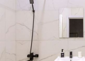 Сдаю в аренду квартиру студию, 34 м2, Новосибирск, улица Немировича-Данченко, 167/1, ЖК Расцветай на Маркса