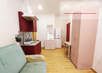 Сдам в аренду квартиру студию, 20 м2, Санкт-Петербург, Свечной переулок, 17