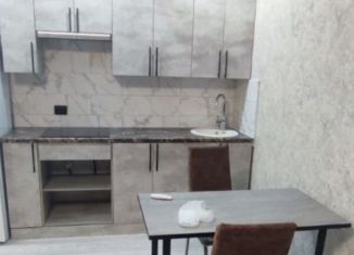 Сдам квартиру студию, 33 м2, Новосибирск, Плющихинская улица, 9, Октябрьский район