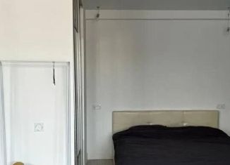 Сдаю в аренду 1-комнатную квартиру, 35 м2, Санкт-Петербург, Авиационная улица, 22