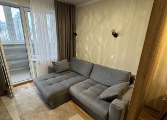 Сдача в аренду квартиры студии, 30 м2, Липецк, улица И.В. Свиридова, 20А