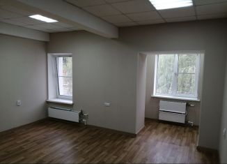 Сдача в аренду офиса, 21.9 м2, Воронежская область, улица Полины Осипенко, 13