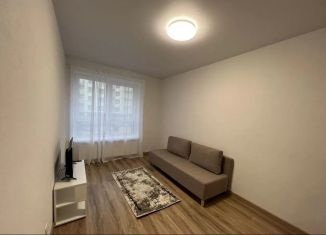 Сдается 2-комнатная квартира, 36 м2, Татарстан, улица Анаса Тазетдинова, 6