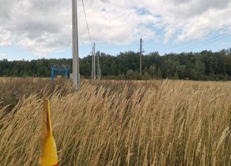 Продаю участок, 117 сот., село Кирби, улица Татарстан