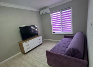 Сдам 3-комнатную квартиру, 75 м2, Сочи, улица Гвоздик, 8А