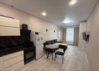 Квартира на продажу студия, 24.3 м2, Саратовская область, микрорайон Энгельс-9, 2