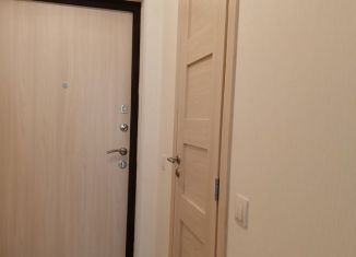 Продам квартиру студию, 25 м2, Санкт-Петербург, Арцеуловская аллея, 21