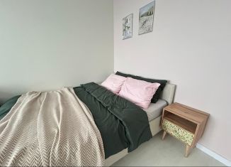 Сдаю в аренду 1-комнатную квартиру, 32.8 м2, Санкт-Петербург, проспект Будённого, 15, Красносельский район