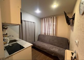 Квартира в аренду студия, 10 м2, Санкт-Петербург, Рузовская улица, 33