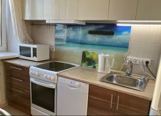 1-ком. квартира в аренду, 39 м2, Санкт-Петербург, проспект Юрия Гагарина, 14к6