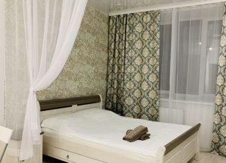 Сдается в аренду квартира студия, 27 м2, Пермь, улица Куйбышева, 109А