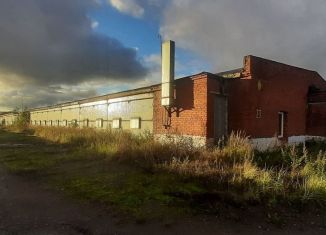 Сдаю производство, 1600 м2, Московская область, деревня Малые Вязёмы, 1с26