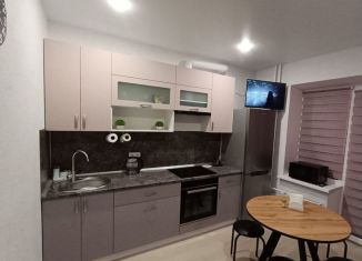 Сдам квартиру студию, 28 м2, поселок городского типа Стройкерамика, улица Анетты Басс, 4с1