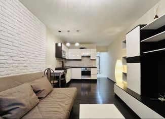 Квартира в аренду студия, 28 м2, Санкт-Петербург, Варшавская улица, 6к1