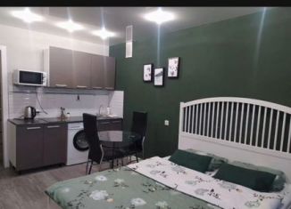 Сдаю квартиру студию, 25 м2, Искитим