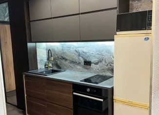 Квартира в аренду студия, 25 м2, Новосибирск, улица Владимира Заровного, 40, Октябрьский район