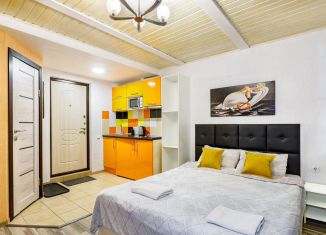 Аренда квартиры студии, 21 м2, Санкт-Петербург, 4-я Советская улица, 8