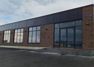 Помещение свободного назначения на продажу, 330 м2, Татарстан, улица Тукучы, 10