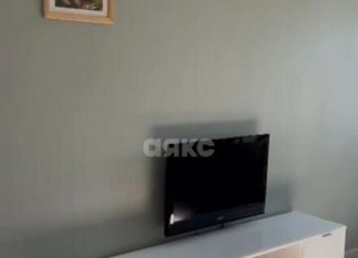 Сдается в аренду однокомнатная квартира, 40 м2, Ростов-на-Дону, проспект Чехова, 105/1