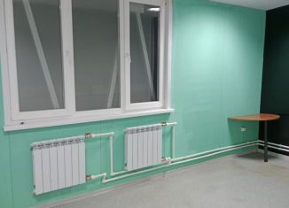 Сдается торговая площадь, 48 м2, Липецкая область, улица Перова, 2А