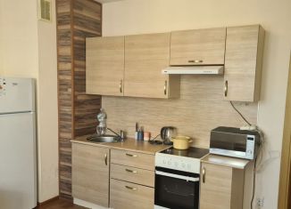 Продажа однокомнатной квартиры, 43.8 м2, Санкт-Петербург, Кушелевская дорога, 3к10, муниципальный округ Пискарёвка