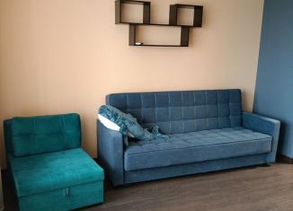 Сдаю в аренду квартиру студию, 24 м2, Тюмень, улица Новосёлов, 117