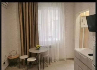 Аренда квартиры студии, 25 м2, Сочи, улица Павлика Морозова, 25