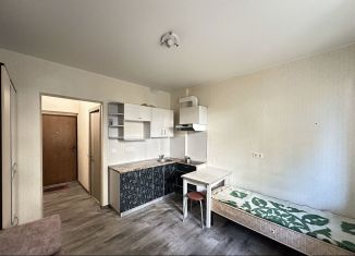 Сдам квартиру студию, 20 м2, Краснодарский край, улица Евгении Жигуленко, 30к4