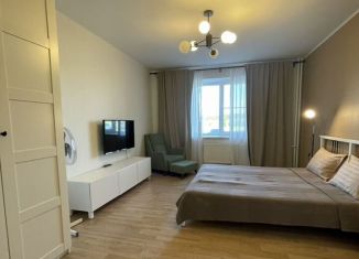 Сдам в аренду 1-ком. квартиру, 54 м2, деревня Мокшино, Солнечная улица, 90