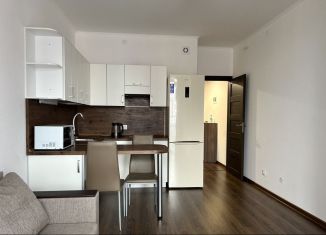 Продам квартиру студию, 24.5 м2, Санкт-Петербург, Арцеуловская аллея, 21, ЖК Чистое Небо