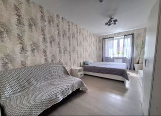 Сдается в аренду 2-ком. квартира, 57 м2, городской посёлок Янино-1, Голландская улица, 10к1