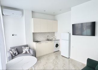 Аренда квартиры студии, 19.4 м2, Сочи, Православная улица, 15/7А