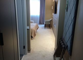 Продаю 2-комнатную квартиру, 45 м2, село Орёл-Изумруд, улица Гастелло, 41/3, ЖК Грин Таун