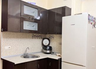 Сдача в аренду 1-комнатной квартиры, 32 м2, Сочи, Орбитовская улица, 20/7Б