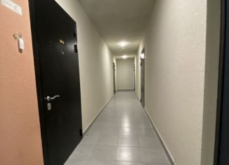 Аренда 1-ком. квартиры, 33.6 м2, Татарстан, проспект Ильгама Шакирова, 24А