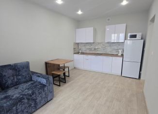 Сдам в аренду квартиру студию, 28 м2, Обь, Геодезическая улица, 6Вк2