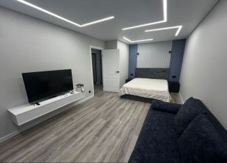 Сдам в аренду 1-ком. квартиру, 40 м2, Татарстан, улица Гаврилова, 8