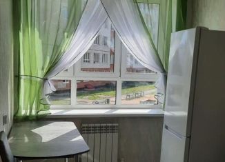 Сдается в аренду 1-комнатная квартира, 33 м2, Тула, улица Новосёлов, 4к2