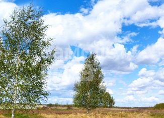 Продажа дома, 65 м2, Татарстан, Центральная улица, 55