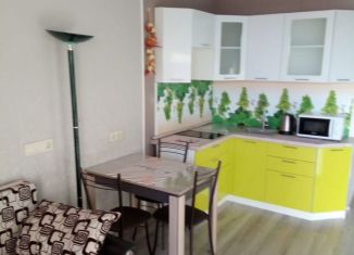 Продаю квартиру студию, 24.8 м2, деревня Пирогово, ЖК Пироговская Ривьера, улица Ильинского, 7