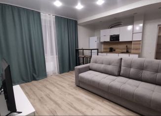 Сдача в аренду квартиры студии, 32 м2, Томская область, Водяная улица, 18А