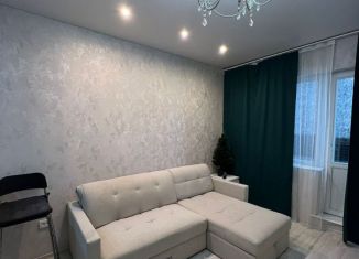 Сдаю квартиру студию, 28.1 м2, Новосибирск, улица Фадеева, 66/4, метро Заельцовская