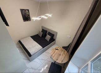 Сдается в аренду однокомнатная квартира, 28 м2, Хабаровск, улица Бойко-Павлова, 22