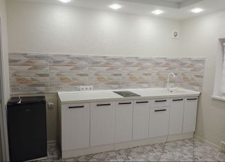 1-ком. квартира в аренду, 38 м2, Саратов, проспект имени Петра Столыпина, 7