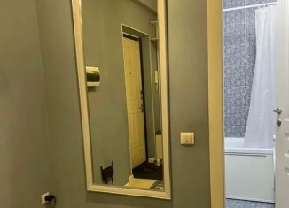 Сдача в аренду 1-комнатной квартиры, 30 м2, Томск, Большая Подгорная улица, 40